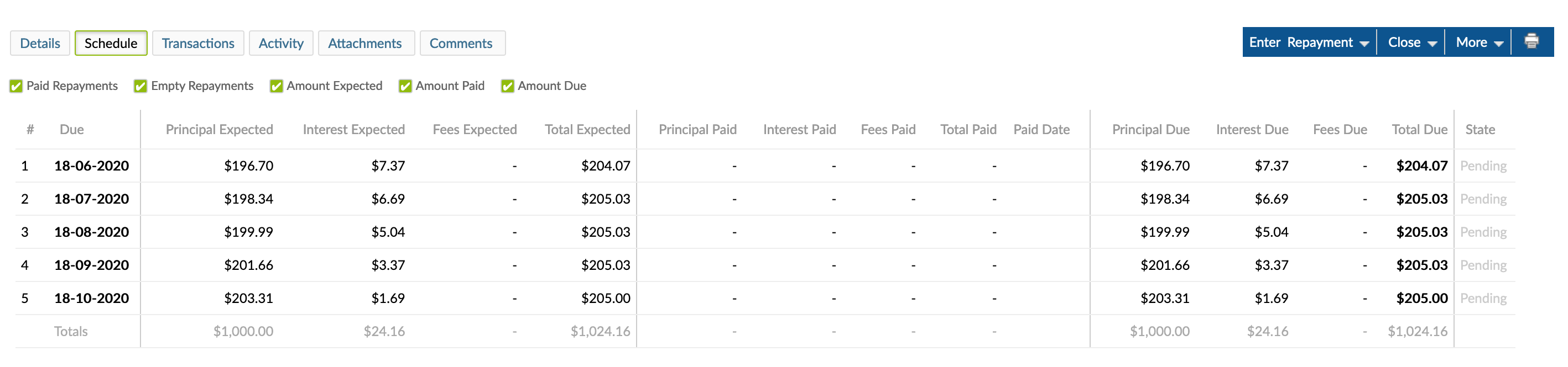 Schedule with redraw balance